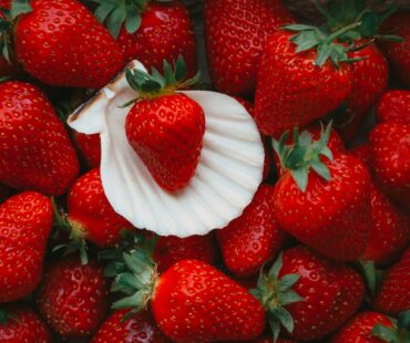 dagmara-dombrovska-G_Qt8mxg_nw-unsplash